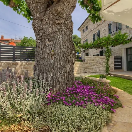 Stone Parentium With Private Pool In Porec * Dračevac
