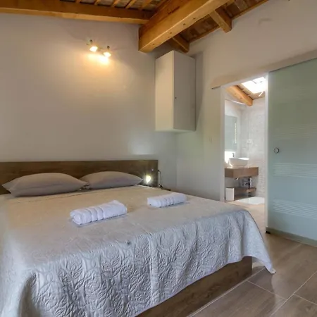 Villa Stone Parentium With Private Pool In Porec Dracevac